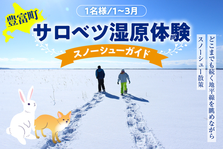 サロベツ湿原体験！スノーシューガイド 1名様 【1～3月】　（スノーシューレンタル料込 オリジナルカレンダーのお土産付き 北海道 冬 ウィンター 散策 体験 旅行 豊富町 サロベツ）