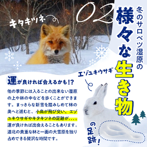 サロベツ湿原体験！スノーシューガイド 1名様 【1～3月】　（スノーシューレンタル料込 オリジナルカレンダーのお土産付き 北海道 冬 ウィンター 散策 体験 旅行 豊富町 サロベツ）