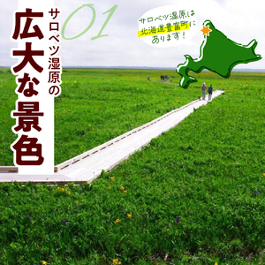 サロベツ湿原体験！木道自然ガイド 1名様【5～9月】　（オリジナルカレンダーのお土産付き 北海道 散策 体験 旅行 豊富町 サロベツ）