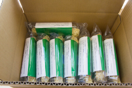 サロベツラーメン 2食入×8袋 合計16人前 （北海道 豊富町 ラーメン 熟成麺 ミルク風味）