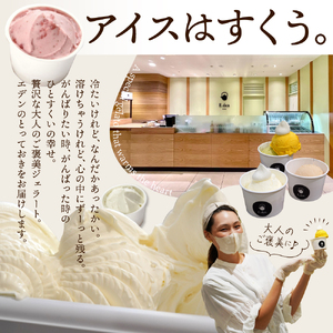 E.den(エデン) 豊富牛乳ジェラート ピスタチオインピスタチオ 100ml×6個 