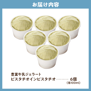E.den(エデン) 豊富牛乳ジェラート ピスタチオインピスタチオ 100ml×6個 