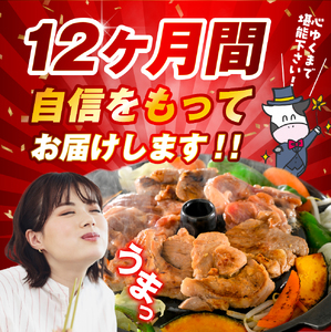 【12か月定期便】毎月違うお肉をお届け！王様シリーズバラエティセット 合計約22kg