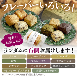 【定期便 6か月】温泉スコーンとクロテッドクリーム＆フレーバーバターセット 