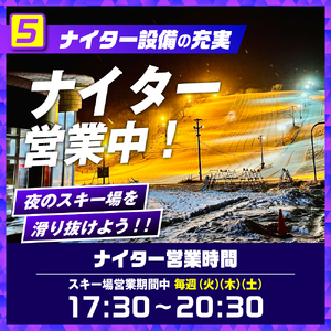 豊富温泉スキー場利用助成（12回券 小人）