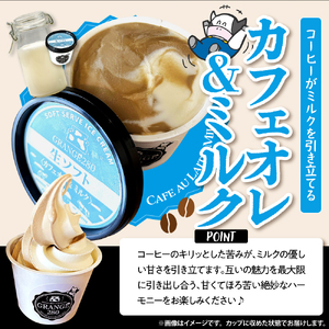 生ソフトクリーム【芳醇ミルク／カフェオレ＆ミルク】 計10個 【GRANGE280】