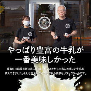 生ソフトクリーム【芳醇ミルク／カフェオレ＆ミルク】 計10個 【GRANGE280】