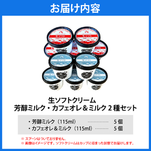 生ソフトクリーム【芳醇ミルク／カフェオレ＆ミルク】 計10個 【GRANGE280】