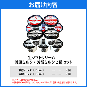 生ソフトクリーム【濃厚ミルク／芳醇ミルク】 計10個 【GRANGE280】