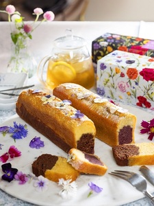 宝塚すみれケーキ【ルビー】