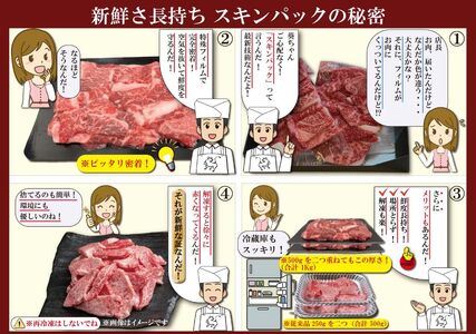 神戸牛(神戸ビーフ) 訳あり 切り落とし肉と焼肉用(不揃い)セット 500gずつ 計1kg