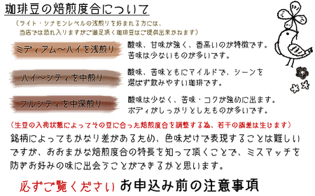 【宝塚】miniｻｲｽﾞ3ヶ月定期便A（当日自家焙煎珈琲3種 計600g）【豆】