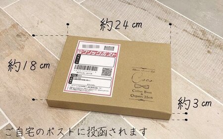 【宝塚】Qグレード珈琲2種類 当日自家焙煎珈琲100g×2袋 miniサイズ【豆】