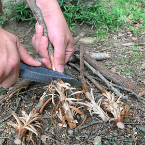 Bushcraft knife 120 炎神 究極キャンパーナイフ