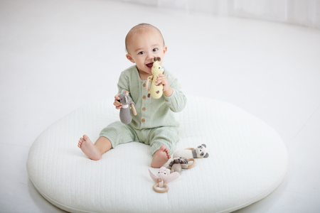 HOPPL（ホップル） amimals ベビージムセット グレー／ラトル