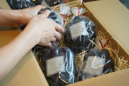 【2026年】【先行受付】HARETOMI産 ピオーネ・シャインマスカットのセット