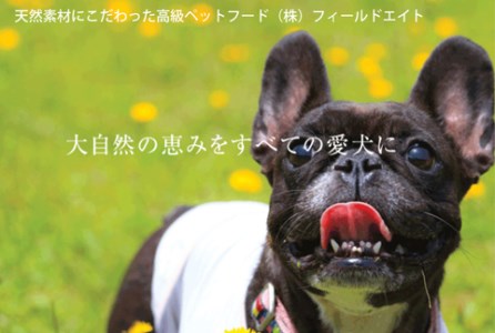 C 48 犬のおやつ 大袋5点セット 兵庫県三木市 ふるさと納税サイト ふるなび