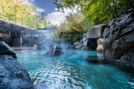 ネスタリゾート神戸での宿泊型産後ケア利用チケット1回分