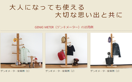 HOPPL(ホップル) ゲンキメーター(ナチュラル)