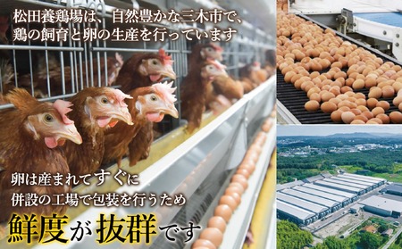 【オーイ！とんぼ×松田養鶏場コラボパッケージ】産地直送  松田養鶏場のひょうごの赤たまご60個（50個+割れ補償10個）