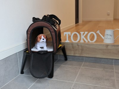 「男前」シリーズ　ステップ☆フォースター　シルバーメタリック