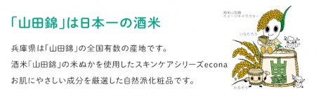 洗顔クリーム econaモイストウォッシュと泡立てネット