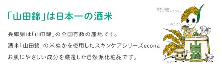 化粧水 econaモイストローション お試し酵素洗顔料付き