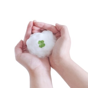 四つ葉のクローバー配合！ナチュラル洗顔石鹸２個セット