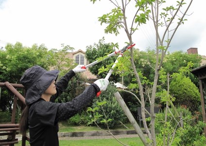 庭木のお手入れに　太枝切鋏650mm（レッド）・剪定鋏・剪定鋸の3点セット【北海道・沖縄・離島　配送不可】