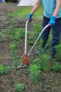 立ったまま雑草刈り「草刈かっちゃん」1丁