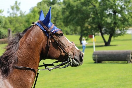 宿泊・ホーストレッキングセット利用券