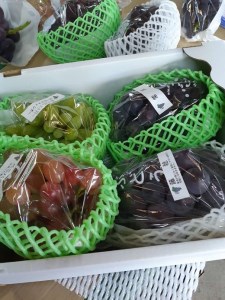 【2026年先行受付】エコファーマー生産！旬のぶどうの詰合せ3kg【北海道・沖縄・離島　配送不可】