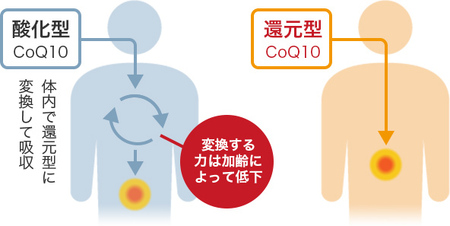 2025年3月31日で掲載終了　還元型コエンザイムQ10 わたしのチカラ  ENERGY（エナジー）30粒×6袋（180日分）