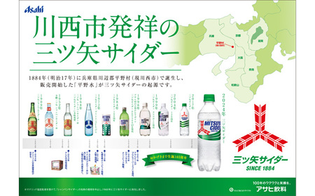 三ツ矢サイダー PET 500ml 24本（1ケース） ／ サイダー