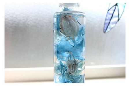 No.014-04 四季のハーバリウム～ SEASONS SERIES ～ Winter（冬）