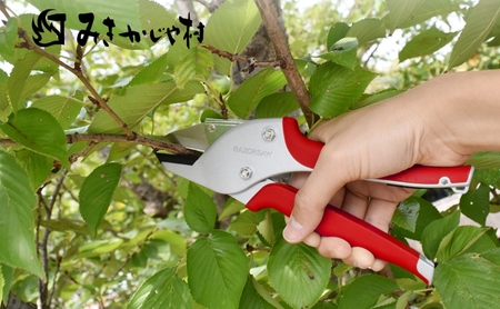 楽がつまったみきかじや村の 剪定 はさみ 全3色[ ハサミ 鋏 園芸 切り花 替刃式 ] 鶯