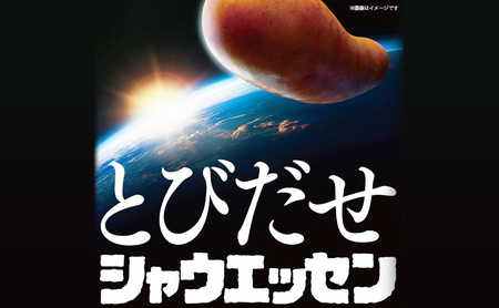 シャウエッセン 1袋(標準5本入)×12パック 計1.404kg 日本ハム 工場直送 ウインナー 朝食 昼食 夕食 お弁当 小分け 使い切り ふるさと納税