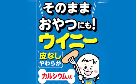 皮なしウイニー 大袋405g×10袋 計4.05kg 日本ハム 工場直送 ウイニー ウインナー ソーセージ 朝食 お弁当 カルシウム入 栄養機能食品 小分け 使い切り ふるさと納税