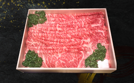 神戸牛 すき焼き用 （肩肉又はウデ肉） 500g  [ 肉 牛肉 スライス すき焼き しゃぶしゃぶ ヘルシー 肩 ロース ウデ すきやき 神戸ビーフ ブランド牛 冷蔵 兵庫県 小野市 ]