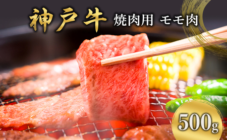 神戸牛  焼肉用 モモ肉 500g  [ 肉 牛肉 焼肉  BBQ モモ もも 焼き肉 やきにく バーベキュー 神戸ビーフ ブランド牛 冷蔵 兵庫県 小野市 ]