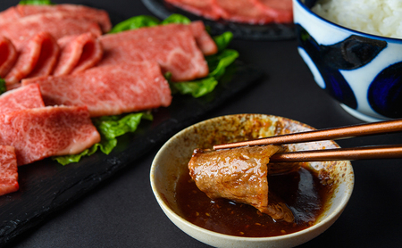 神戸牛  焼肉用 モモ肉 500g  [ 肉 牛肉 焼肉  BBQ モモ もも 焼き肉 やきにく バーベキュー 神戸ビーフ ブランド牛 冷蔵 兵庫県 小野市 ]