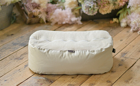 おのののかさんチョイス!おやすみたまご プラス(アイボリー)【限定100個)/赤ちゃん 育児グッズ ママ 授乳 マタニティ ねんね プレゼント ギフト ベッド ベビーチェア ソファ 抱き枕 背中スイッチ 寝返り防止 双子同時授乳 パパ育児 離乳食 授乳クッション