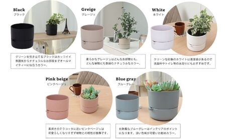 底面吸水植木鉢 bere べーレ グレージュ