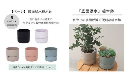 底面吸水植木鉢 bere べーレ グレージュ