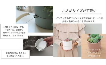 底面吸水植木鉢 bere べーレ グレージュ