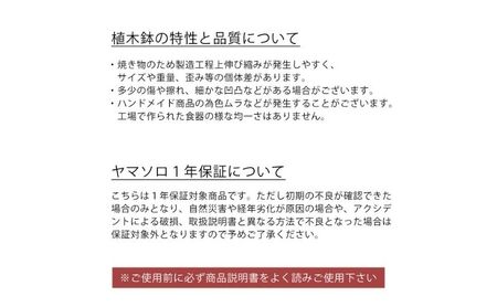 底面吸水植木鉢 bere べーレ グレージュ