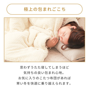 リバーシブルこたつ布団 Lampoa(ランポア) 185×215