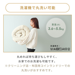 リバーシブルこたつ布団 Lampoa(ランポア) 195×245