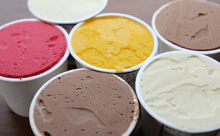 アベニュー・ド・ラペ の手作り アイスクリーム と シャーベット 食べ比べ 8個セット [ スイーツ アイス ]