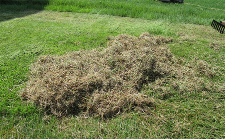 芝生のサッチ取り（小）8本爪600mmアルミ柄付「4010」[ 園芸 園芸用具 庭 手入れ ] 雑貨 日用品 